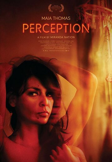 Perception (2013)